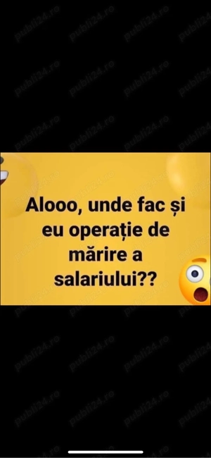 vand purcei -4 luni  - imagine 2