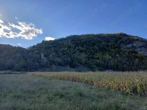 Teren Dofteana, 2800 mp - imagine 10