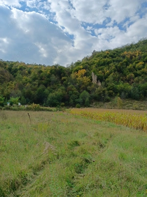 Teren Dofteana, 2800 mp - imagine 4