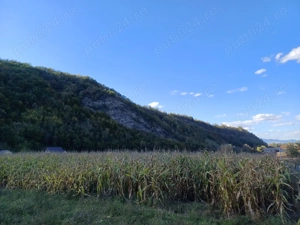 Teren Dofteana, 2800 mp - imagine 9