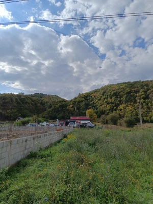 Teren Dofteana, 2800 mp - imagine 2