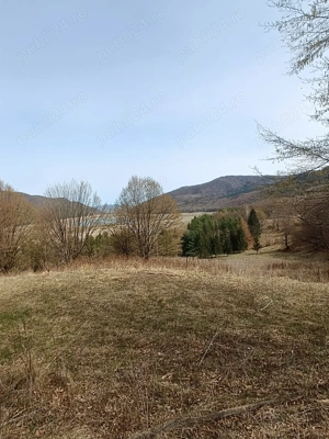 Teren Darmanesti, zona lac Valea Uzului, 3200 mp