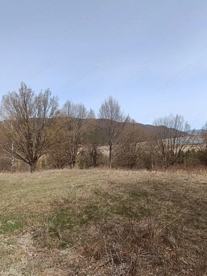 Teren Darmanesti, zona lac Valea Uzului, 3200 mp - imagine 4