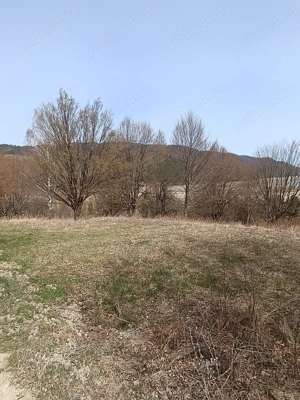 Teren Darmanesti, zona lac Valea Uzului, 3200 mp - imagine 2