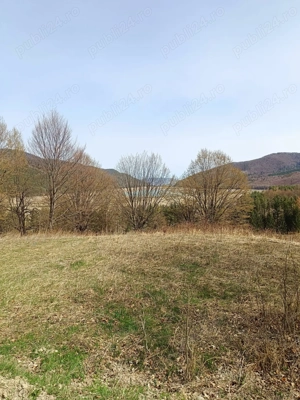Teren Darmanesti, zona lac Valea Uzului, 3200 mp - imagine 5