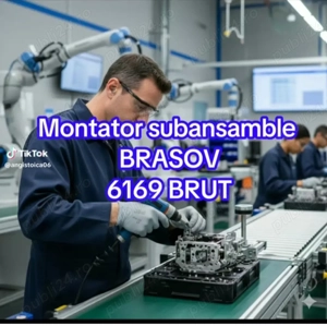 Montatori subansamble Brașov 
