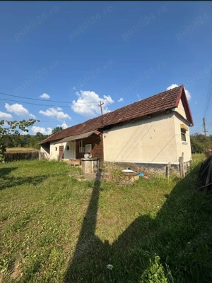 Casa cu teren generos 3000 mp- Grosi, Bihor - imagine 5