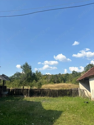 Casa cu teren generos 3000 mp- Grosi, Bihor - imagine 7