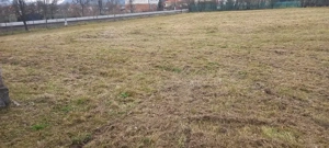 casa de vanzare lntre Zam și Săvârșin 6400 mp intravilan zonă foarte bună  - imagine 5