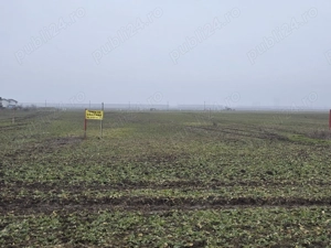 Teren de vanzare Domnesti  - imagine 4