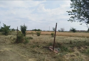 380mp Teren Domnești Ilfov  - imagine 3