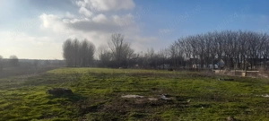 Casă cu grădină 3680 mp - imagine 3