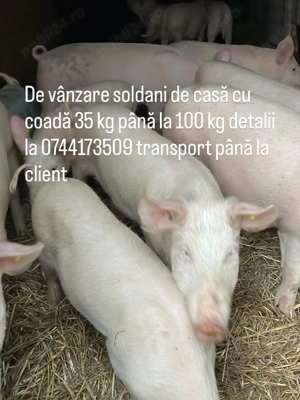 de vanzare - imagine 2