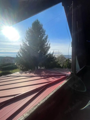 Oportunitate! Casa P+1 deosebita, 223mp, teren 2544mp, Cicarlau - imagine 16