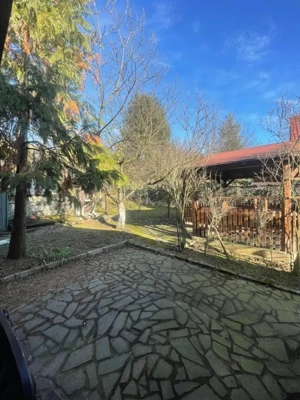 Oportunitate! Casa P+1 deosebita, 223mp, teren 2544mp, Cicarlau - imagine 11