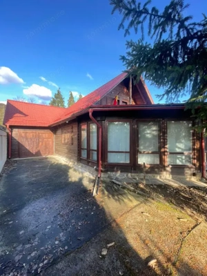 Oportunitate! Casa P+1 deosebita, 223mp, teren 2544mp, Cicarlau - imagine 4