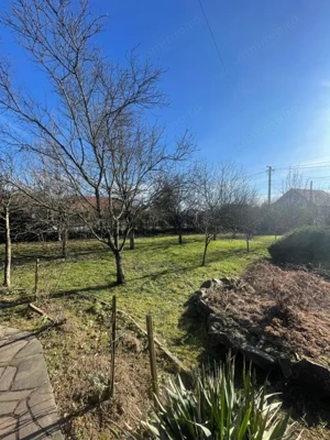 Oportunitate! Casa P+1 deosebita, 223mp, teren 2544mp, Cicarlau - imagine 9