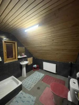 Oportunitate! Casa P+1 deosebita, 223mp, teren 2544mp, Cicarlau - imagine 13