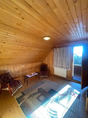 Oportunitate! Casa P+1 deosebita, 223mp, teren 2544mp, Cicarlau - imagine 7