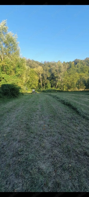 Cas  de Vânzare Domașnea - imagine 9