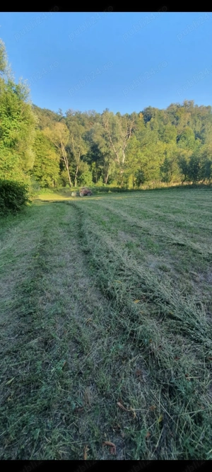 Cas  de Vânzare Domașnea - imagine 6