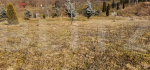 Oază de liniște în Arcus – casă P+M cu teren de 2000 mp - imagine 3