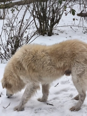 samsung galaxi a20 e - imagine 4