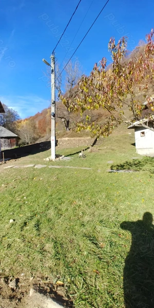 Proprietar - Vand sau Schimb - Casa si teren in Preluca Noua - Maramures - imagine 4