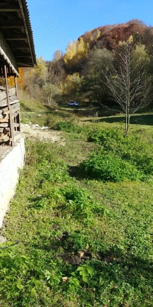 Proprietar - Vand sau Schimb - Casa si teren in Preluca Noua - Maramures - imagine 6