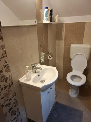 casa de vanzare Ludus,str 8 Martie nr 5 - imagine 9