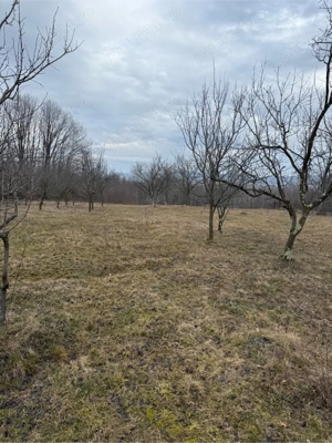 Teren 4000mp -15euro  mp - imagine 2