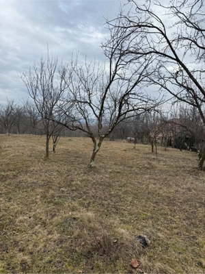 Teren 4000mp -15euro  mp - imagine 4