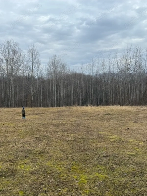 Teren 4000mp -15euro  mp - imagine 3