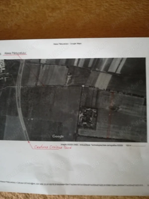 Teren extravilan Carcea