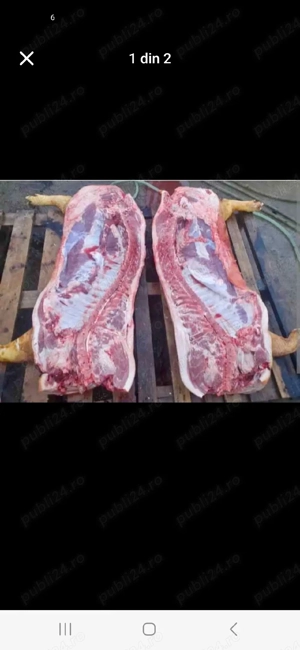 Carcasa si sfert de porc 18 lei kg - imagine 4