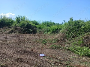 executam constructi si defrisari  - imagine 2