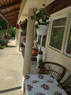 vind casă în Cordun str.vasile alecsandri  - imagine 3