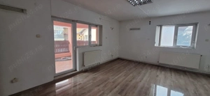 inchiriez vila zona Splaiul Unirii -Asmita Garden - imagine 2