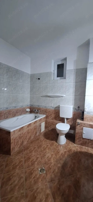 inchiriez vila zona Splaiul Unirii -Asmita Garden - imagine 10