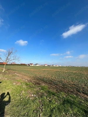 Teren de vanzare ( mai multe suprafete)