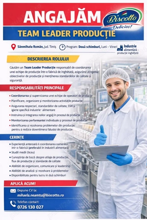 team leader productie fabrica de inghetata 