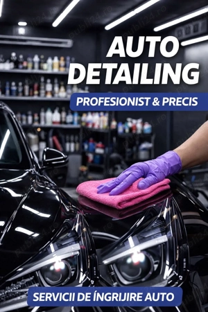 Detailing Auto Canapele Coltare