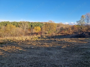 Vând teren casa sau cabana 