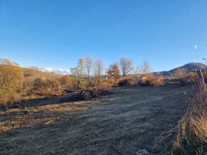 Vând teren casa sau cabana  - imagine 3