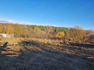 Vând teren casa sau cabana  - imagine 4