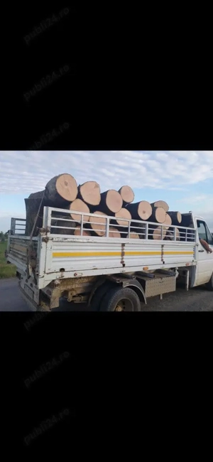 Lemne de foc uscate,tăiate și sparte,orice esență  - imagine 2