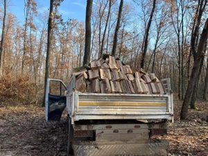 Lemne de foc uscate,tăiate și sparte,orice esență  - imagine 3