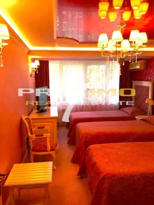 Venus, pensiune  moderna, decorata art deco, 11 camere si restaurant - imagine 8