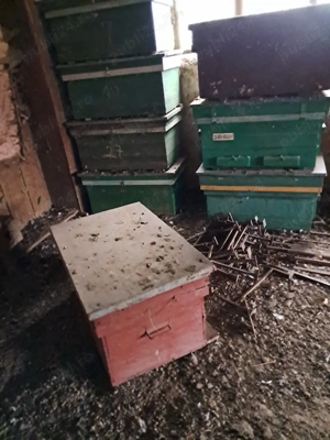 Lichidez stupina fara albine