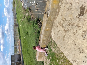 Vand rate romanesti. - imagine 5